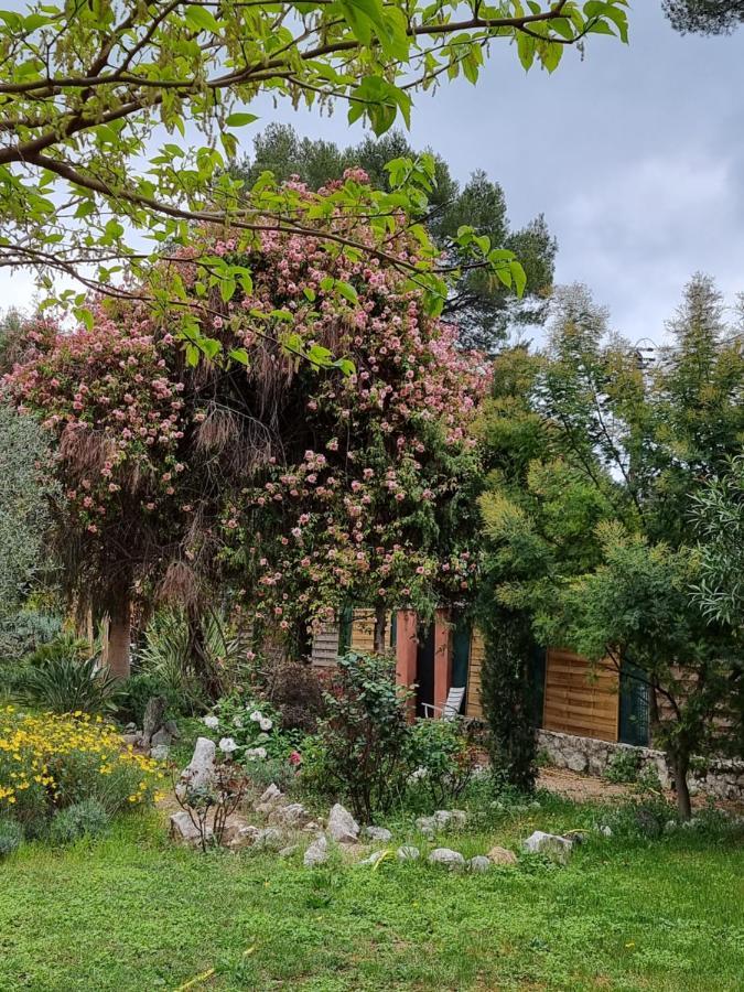 مبيت وإفطار روكفور-لا-بين Mas D'Azur المظهر الخارجي الصورة