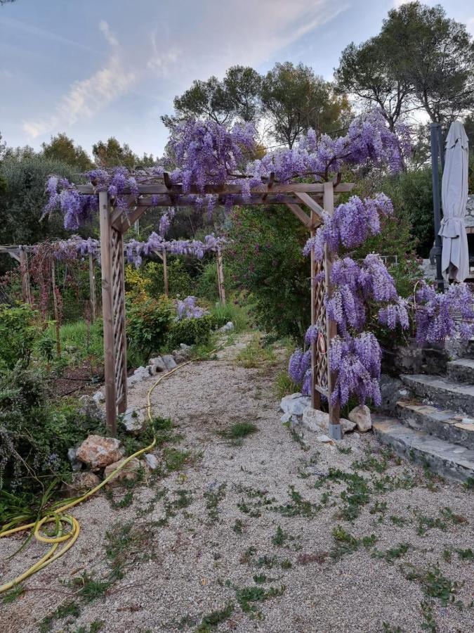 مبيت وإفطار روكفور-لا-بين Mas D'Azur المظهر الخارجي الصورة